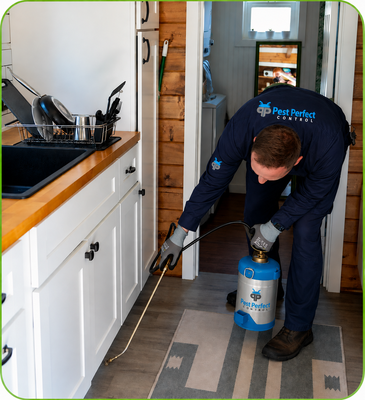 Detailed Ant Inspection and Gel Bait Treatment